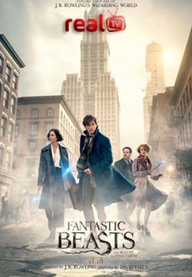 Fantastic Beasts and Where to Find Them